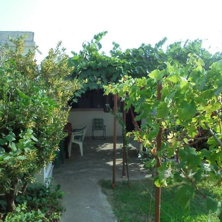 Две Сестри Lozenets Exterior foto